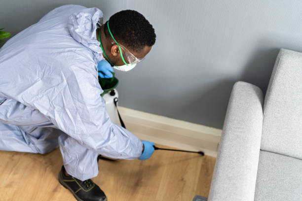 Professional Pest Control in Port Ewen, NY